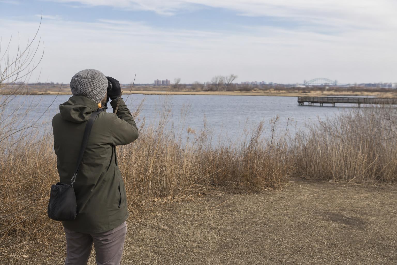 AI-generated illustration: A naturalist with binoculars birdwatching at Jamaica Bay Wildlife Refuge, New York City